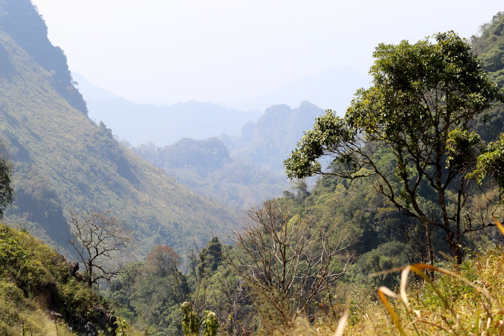 Lokation: Thailand | Chiang Mai | Chiang Dao | Ban Muang Ngai Kategorien: Berge, Datum: 17.02.2016