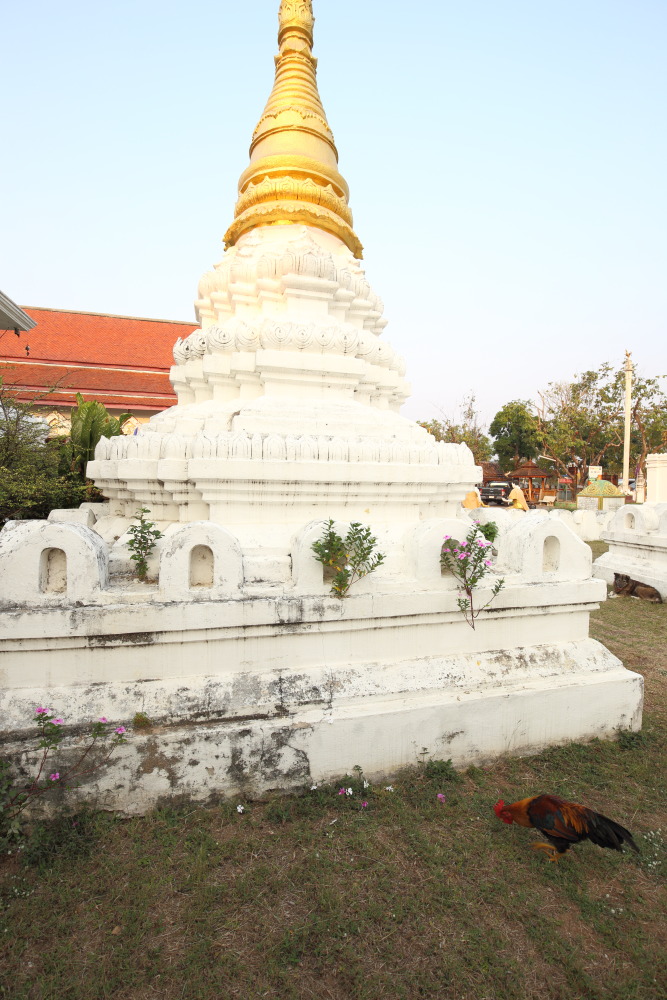 Lokation: Thailand | Lampang | Muang Lampang | Ban Wang Mo Phatthana Kategorien: Tempel, Datum: 20.02.2016
