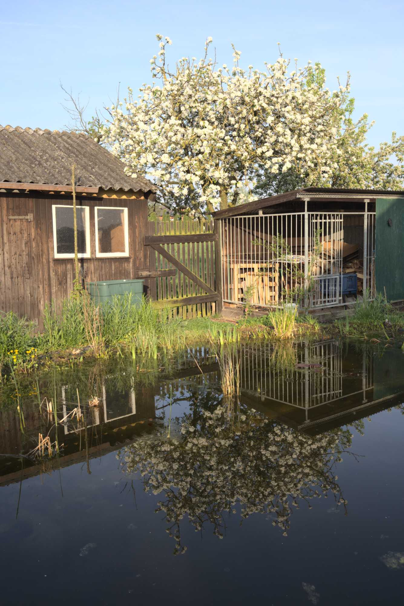 Lokation: Deutschland | Nordrhein-Westfalen | Heinsberg | Wassenberg Kategorien: Haus, Hortus rusticus, Datum: 22.04.2018