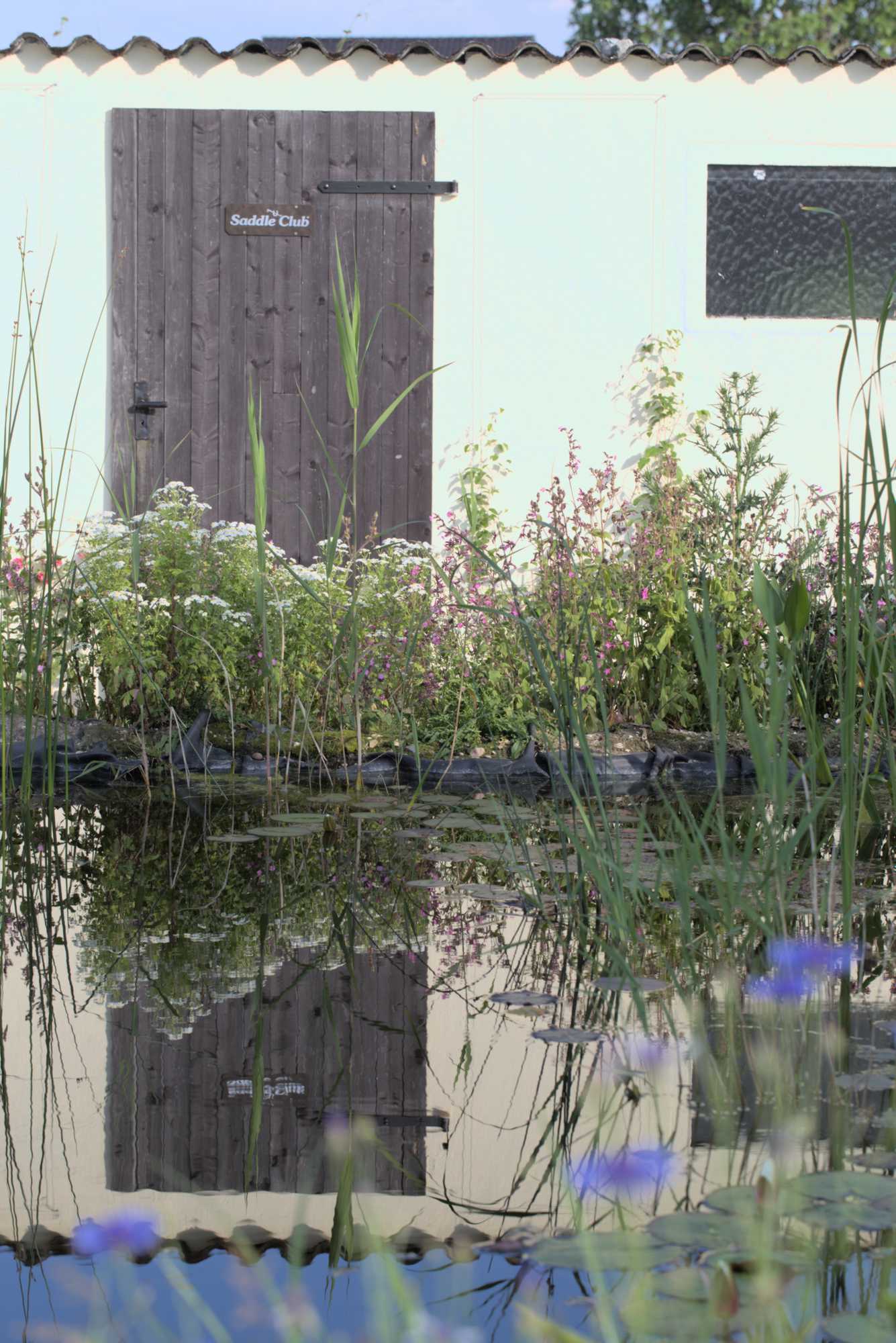 Lokation: Deutschland | Nordrhein-Westfalen | Heinsberg | Wassenberg Kategorien: Teich, Hortus rusticus, Datum: 30.05.2018