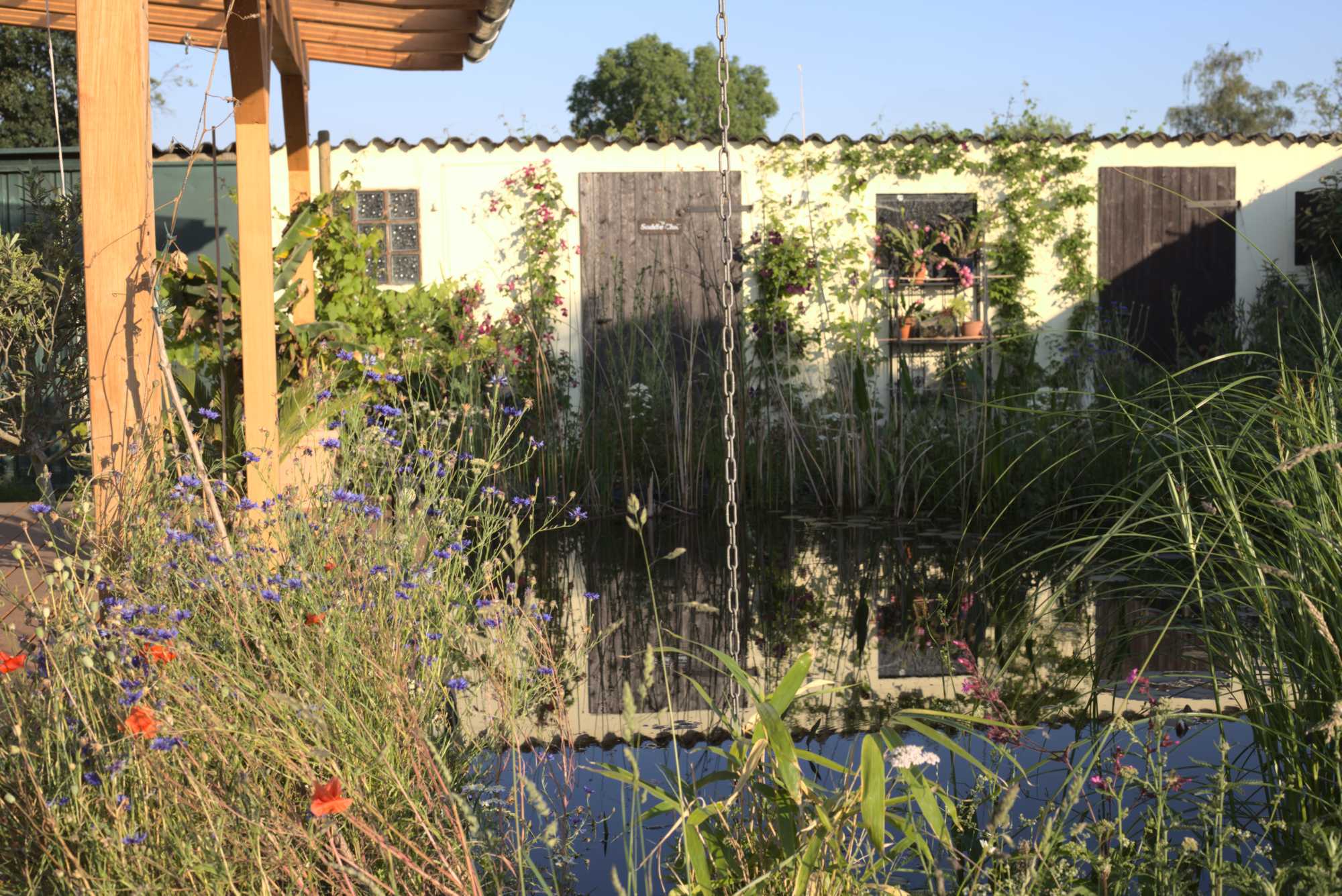 Lokation: Deutschland | Nordrhein-Westfalen | Heinsberg | Wassenberg Kategorien: Teich, Naturgarten, Hortus rusticus, Landhausgarten, Datum: 20.06.2020