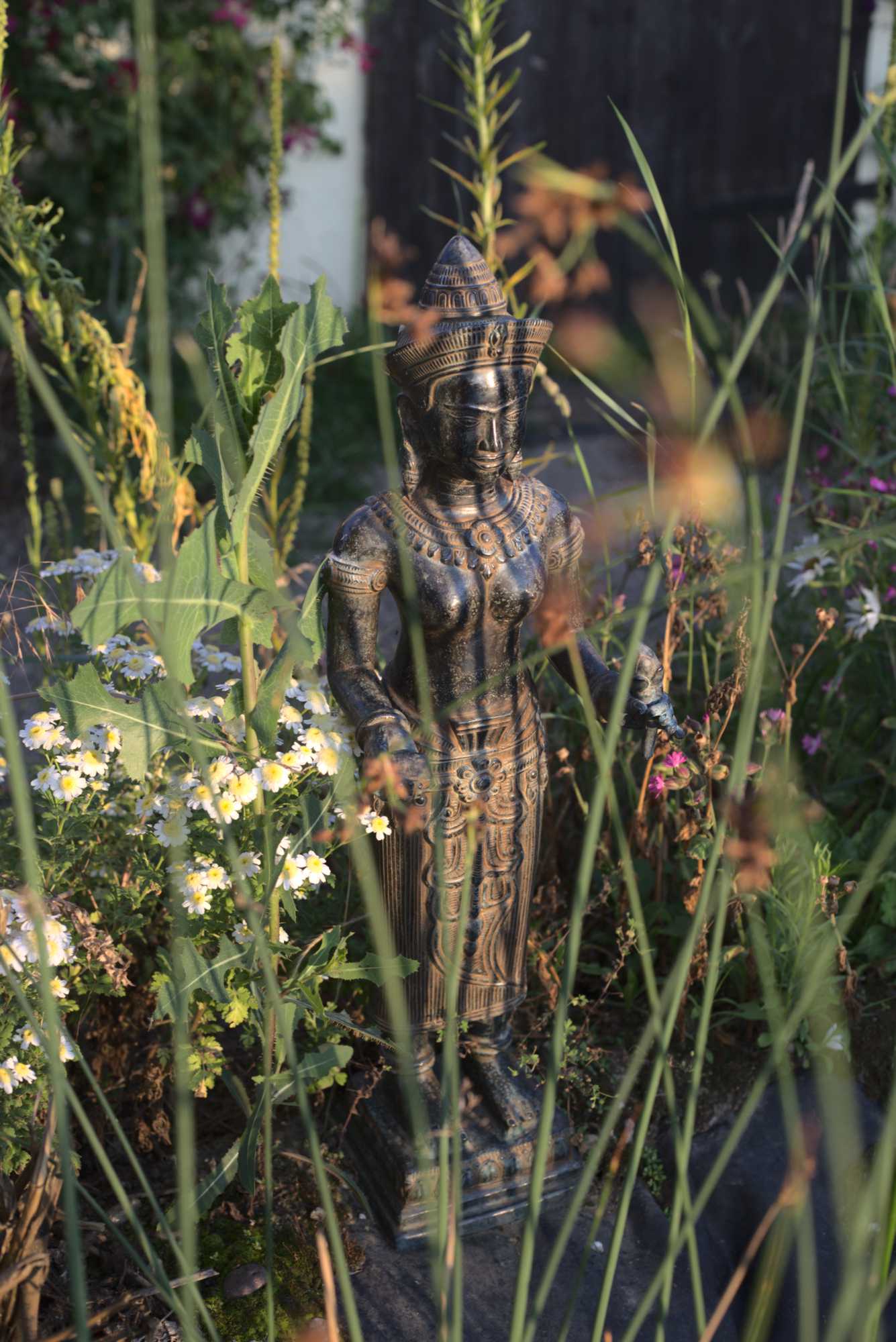 Lokation: Deutschland | Nordrhein-Westfalen | Heinsberg | Wassenberg Kategorien: Teich, Naturgarten, Hortus rusticus, Landhausgarten, Datum: 20.06.2020