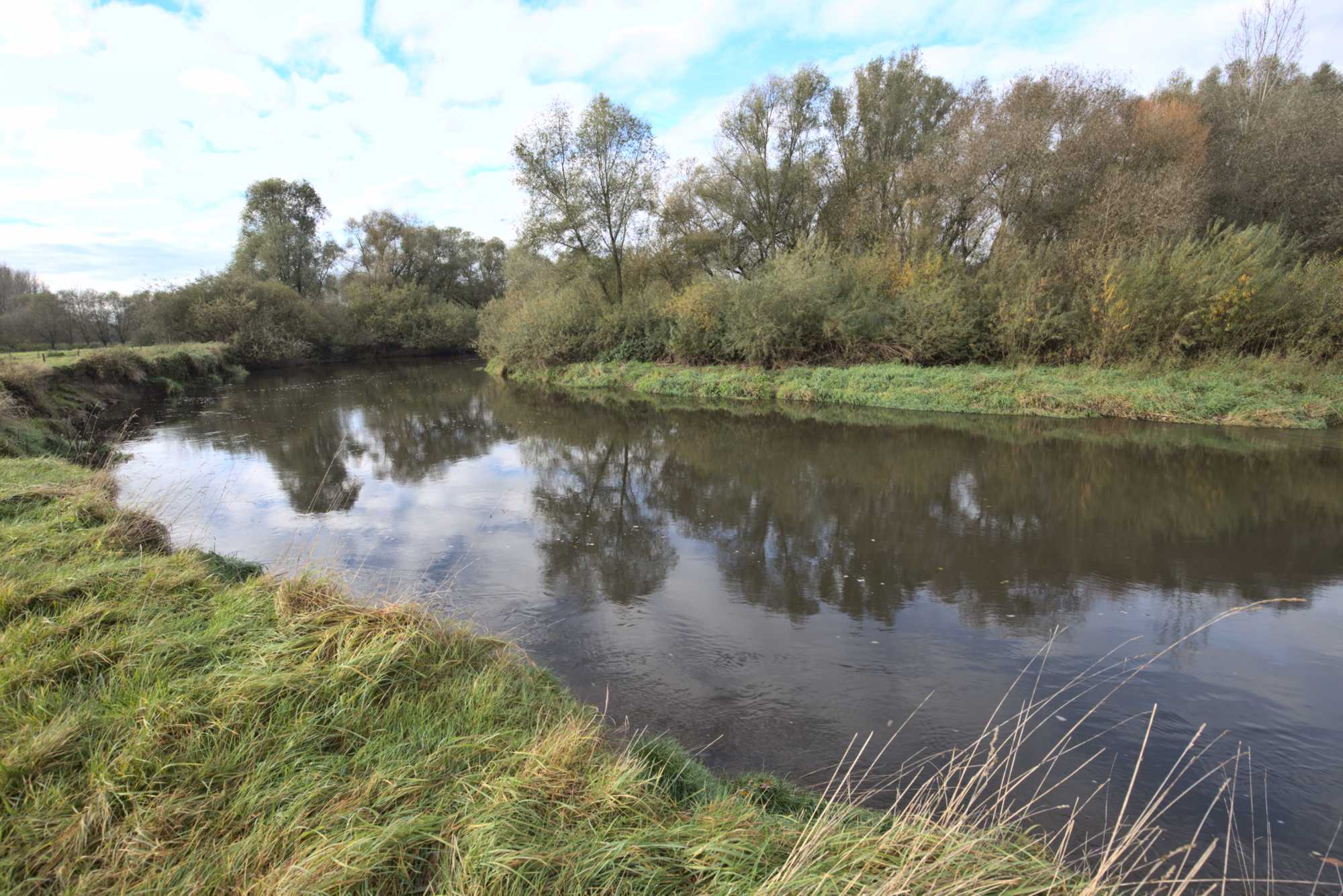 Lokation: Niederlande | Limburg | Roerdalen | Vlodrop Kategorien: Fluss, Datum: 06.11.2021