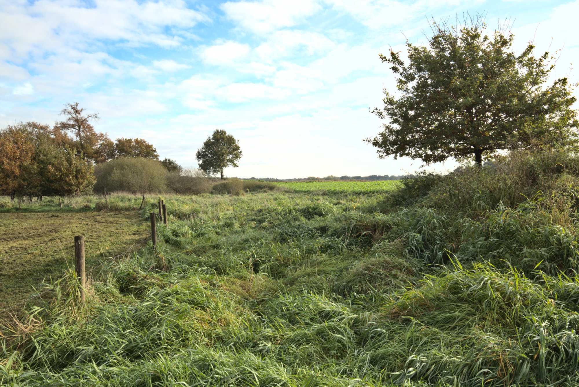 Lokation: Niederlande | Limburg | Roerdalen | Vlodrop Kategorien: Aue, Datum: 06.11.2021