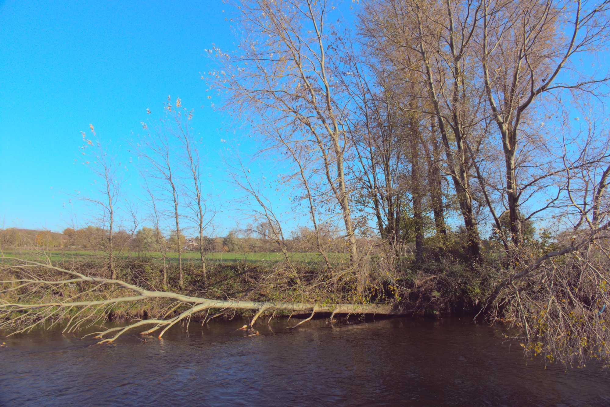 Lokation: Deutschland | Nordrhein-Westfalen | Heinsberg | Heinsberg Kategorien: Fluss, Datum: 09.11.2021