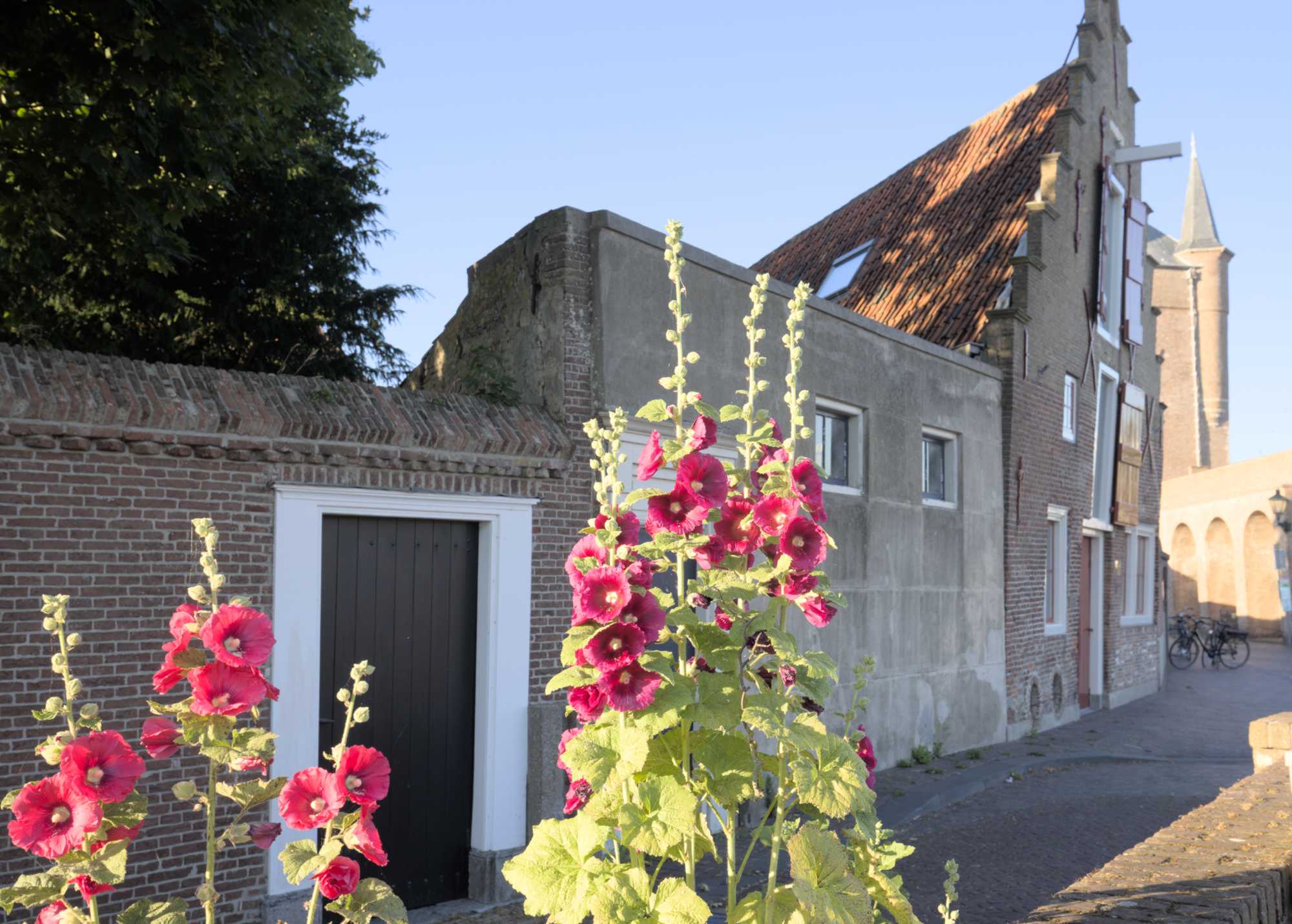 Lokation: Niederlande | Zeeland | Schouwen-Duiveland | Zierikzee Kategorien: Stadt, Datum: 22.06.2022