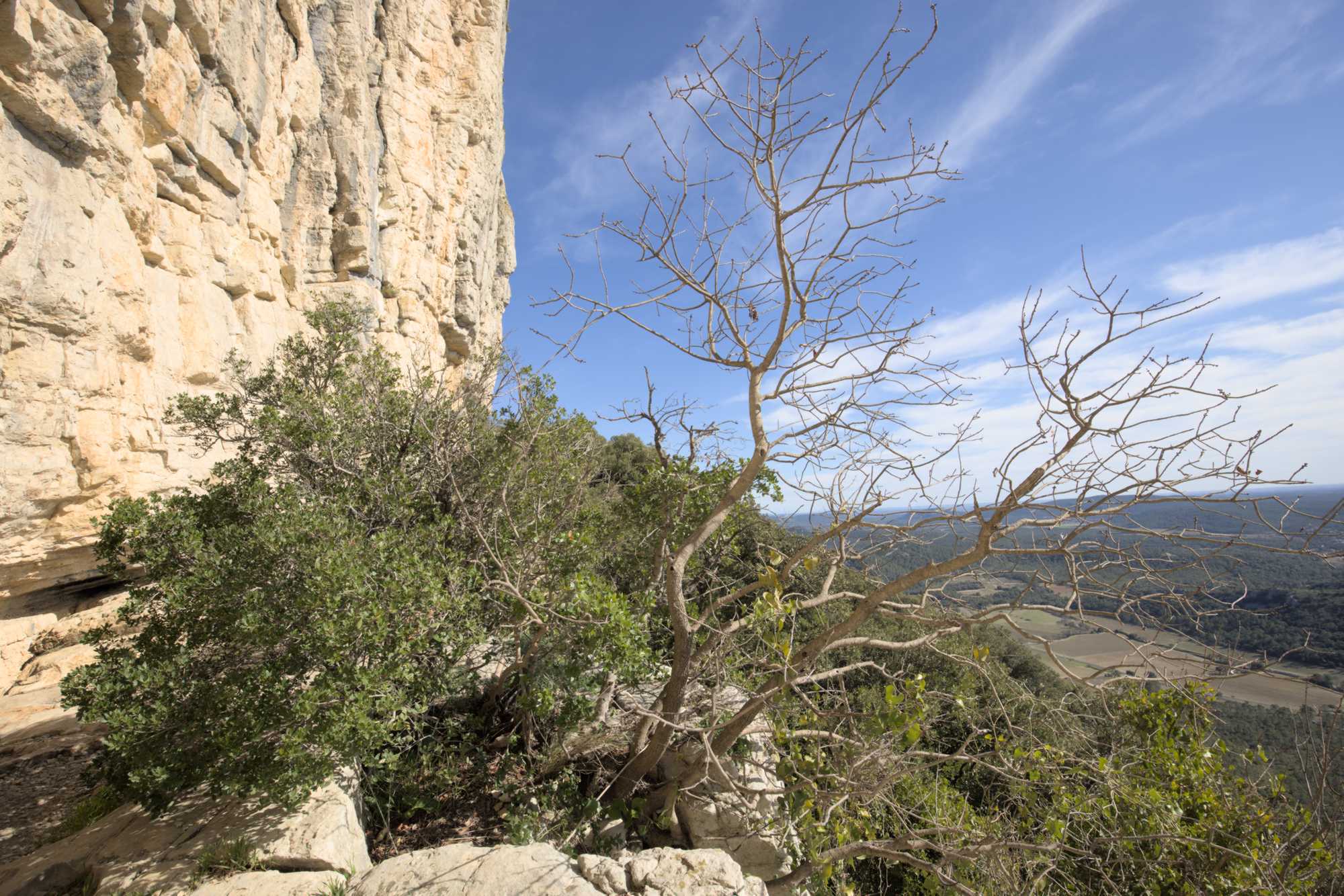 Lokation: Frankreich | Hérault | Lodève | Rouet Kategorien: Landschaft, Datum: 25.02.2022