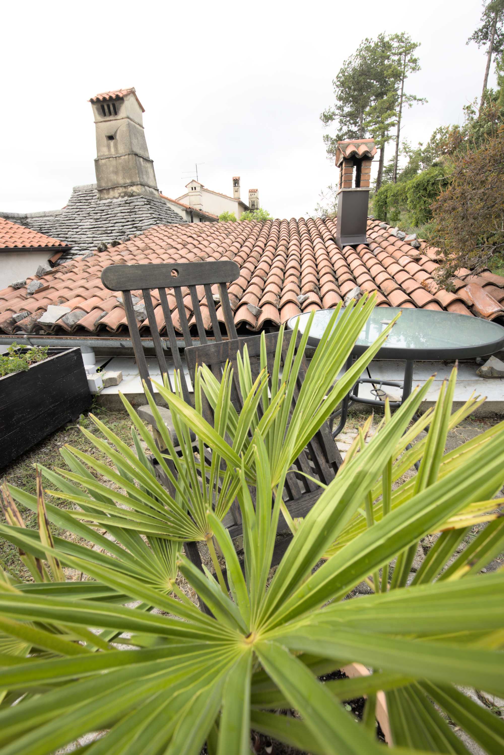 Lokation: Slowenien | Westslowenien | Küsten- und Karstgebiet | Komen Kategorien: Haus, Datum: 15.09.2022