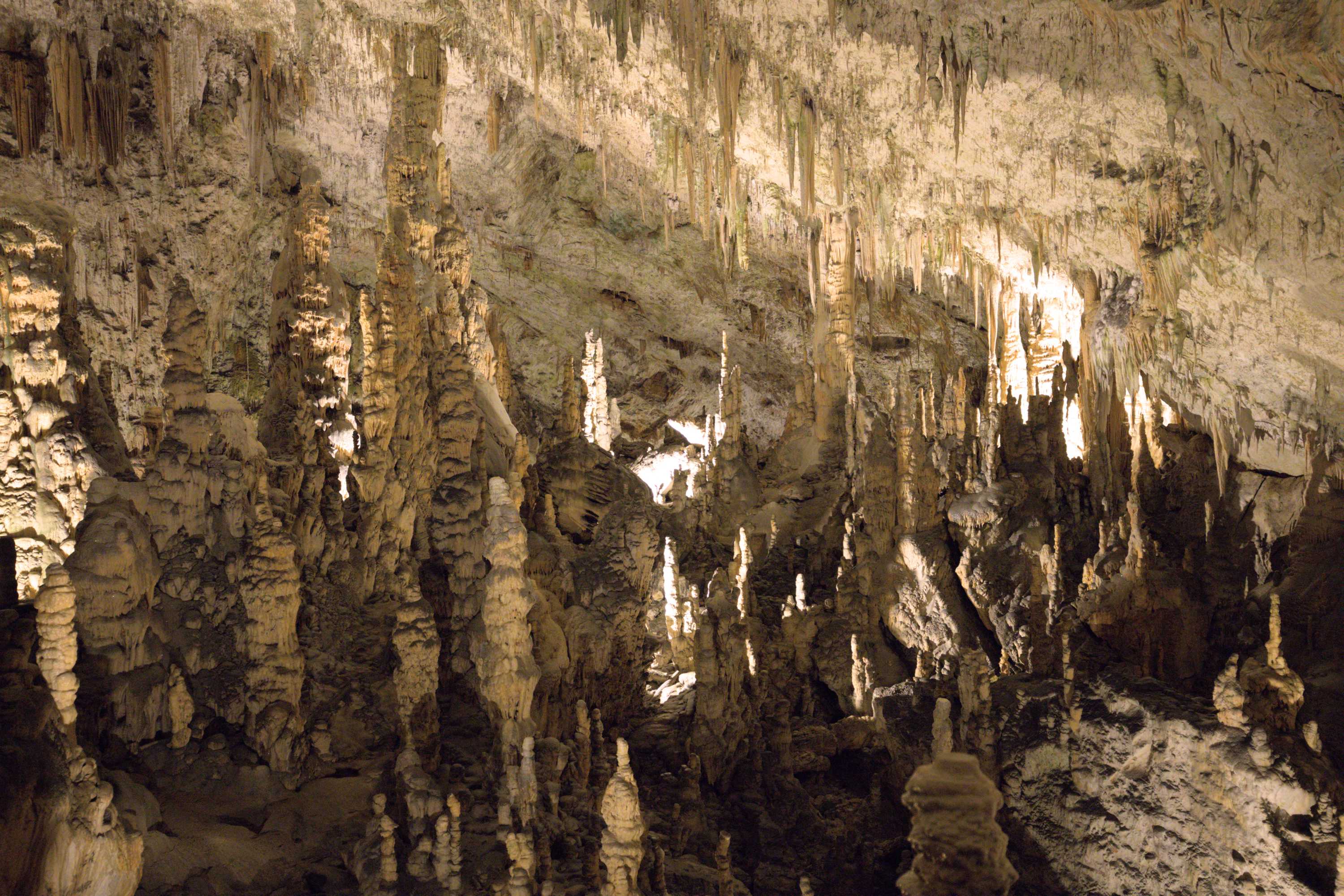 Lokation: Slowenien | Ostslowenien | Küstenland-Innerkrain | Postojna Kategorien: Höhle, Datum: 16.09.2022