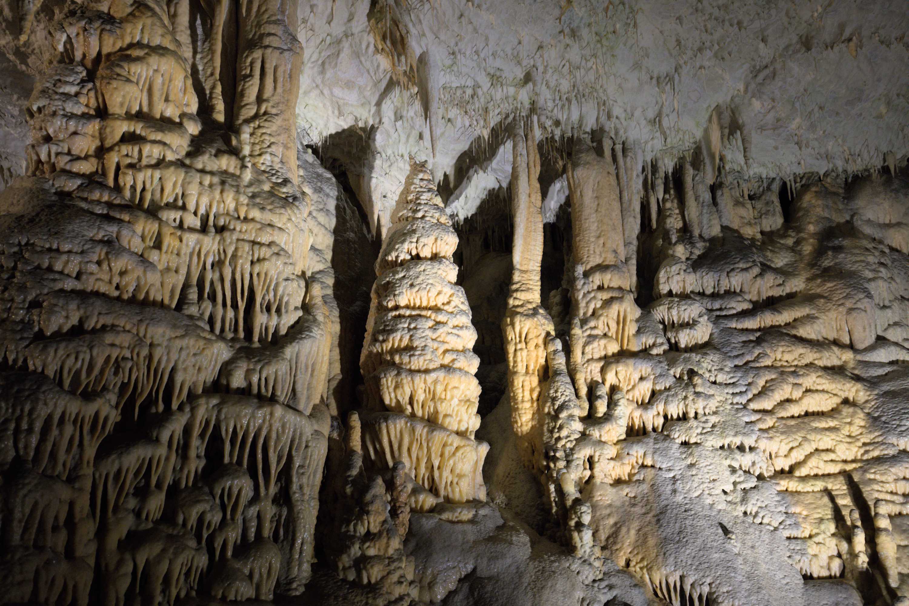 Lokation: Slowenien | Ostslowenien | Küstenland-Innerkrain | Postojna Kategorien: Höhle, Datum: 16.09.2022