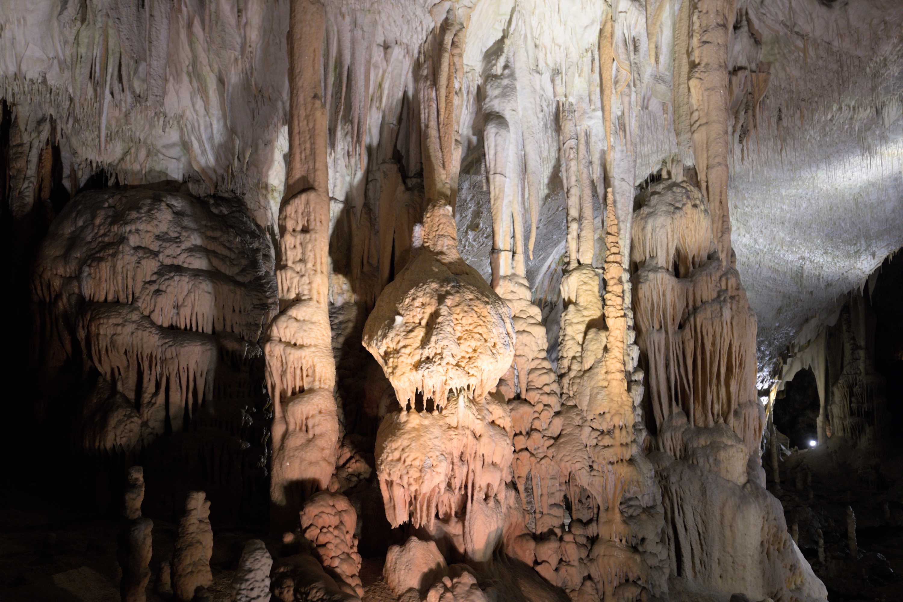 Lokation: Slowenien | Ostslowenien | Küstenland-Innerkrain | Postojna Kategorien: Höhle, Datum: 16.09.2022