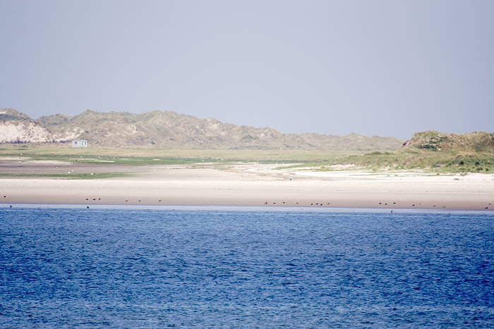 Lokation: Ostfriesland, Juist Kategorien: Meer, Datum: 12.07.2005