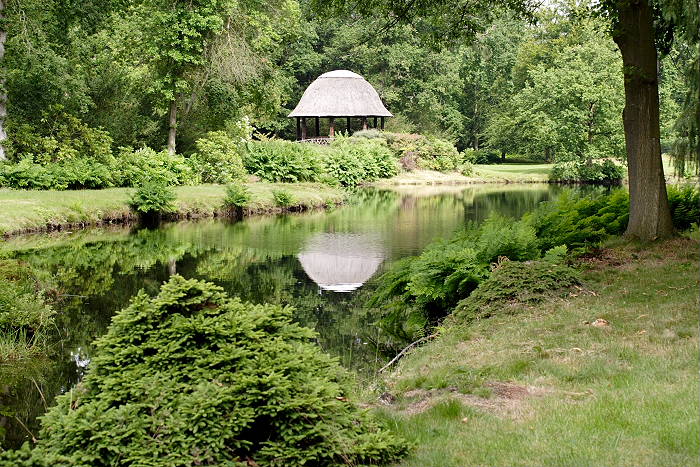 Lokation: Ostfriesland, Lütesburg Kategorien: Garten, Datum: 13.07.2005