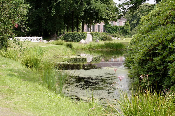 Lokation: Ostfriesland, Lütesburg Kategorien: Garten, Datum: 13.07.2005