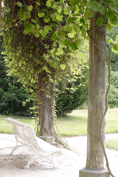 Lokation: Ostfriesland, Lütesburg Kategorien: Garten, Datum: 13.07.2005