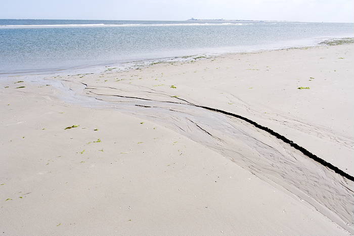 Lokation: Ostfriesland, Juist Kategorien: Strand, Datum: 18.07.2005