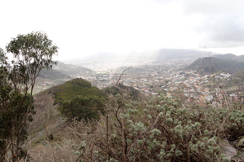 Kategorien: Datum: 01.12.2007