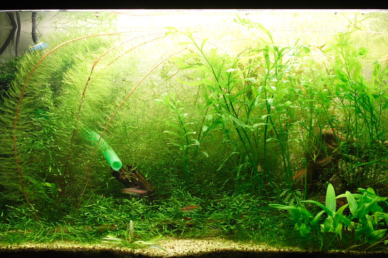 Kategorien: Datum: 14.05.2008