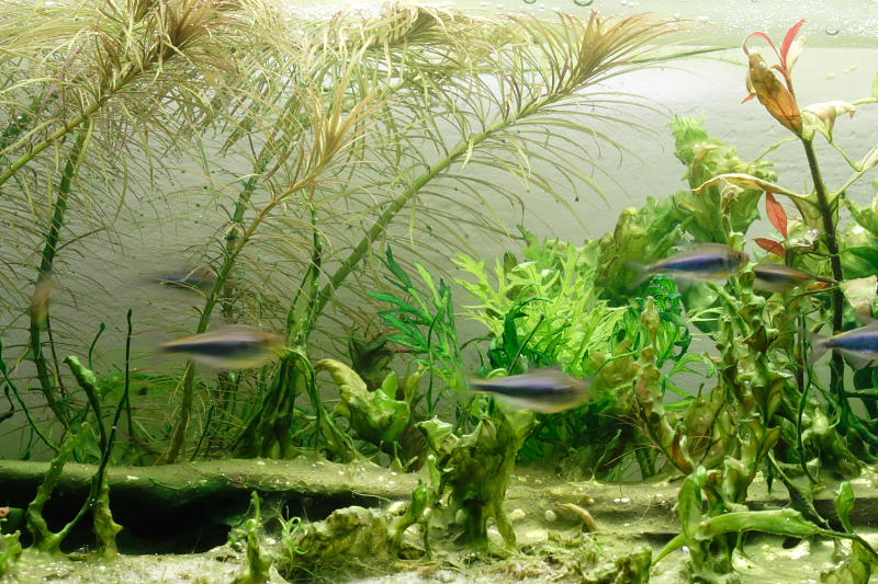 Kategorien: Datum: 14.05.2008