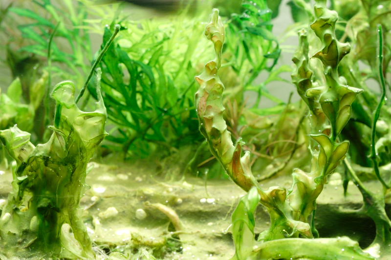 Kategorien: Datum: 14.05.2008