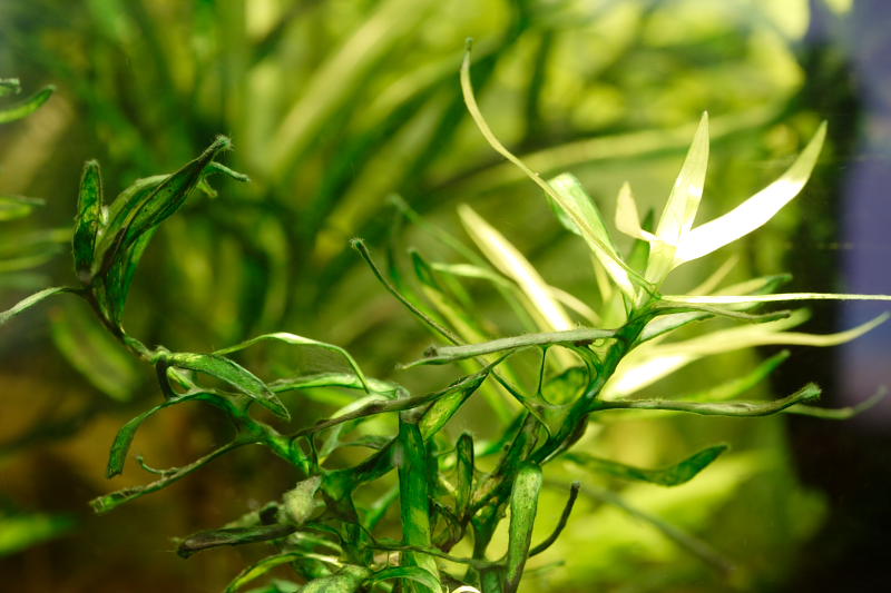 Kategorien: Datum: 17.05.2008