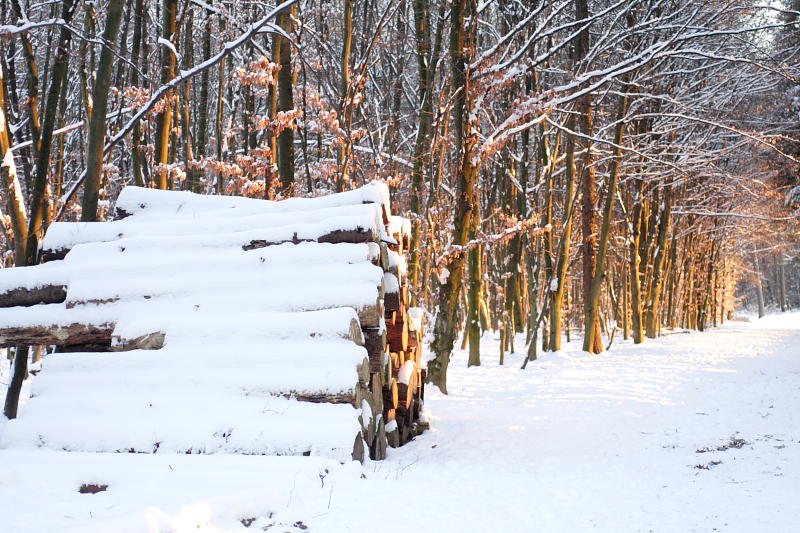 Kategorien: Datum: 06.01.2009