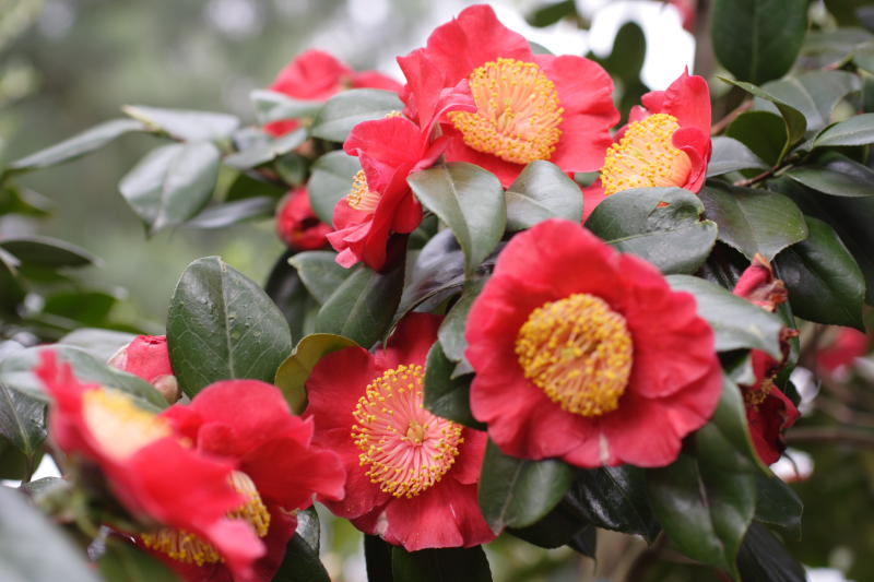 Kategorien: Datum: 05.04.2009