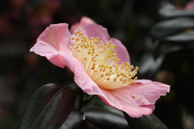 Kategorien: Datum: 05.04.2009