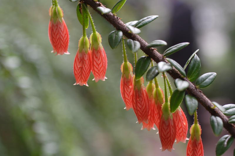 Kategorien: Datum: 05.04.2009