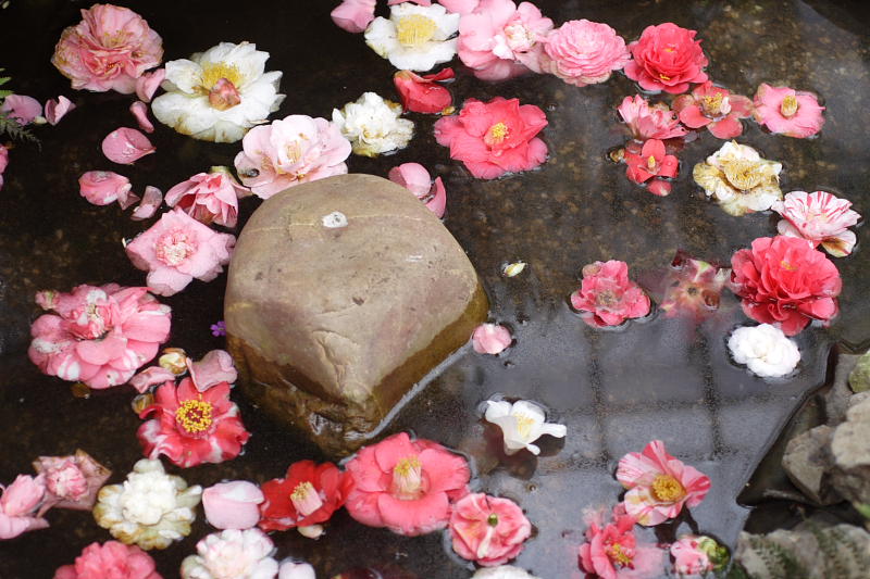 Kategorien: Datum: 05.04.2009