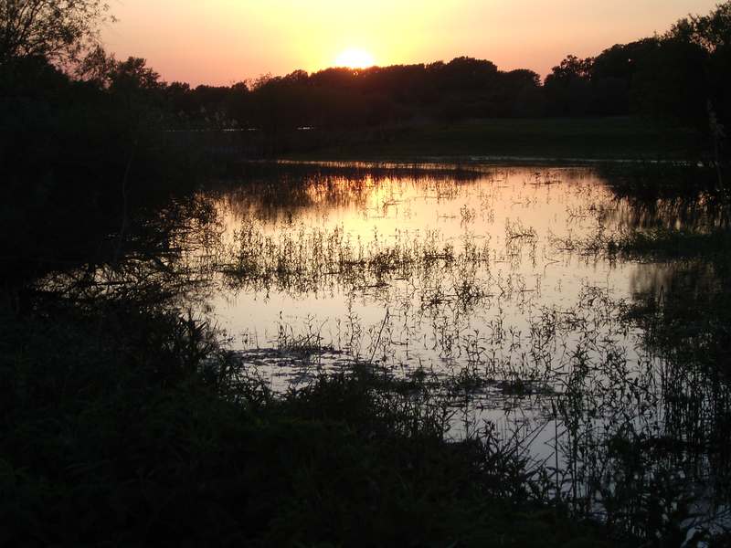 Lokation: Deutschland | Niedersachsen | Damnatz Damnatz | Damnatz Kategorien: Datum: 11.05.2008