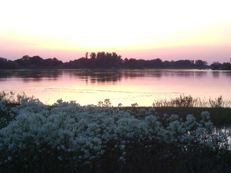 Lokation: Deutschland | Niedersachsen | Damnatz Damnatz | Damnatz Kategorien: Datum: 11.05.2008