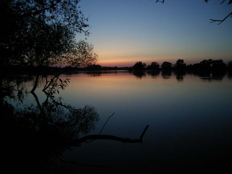 Lokation: Deutschland | Niedersachsen | Damnatz Damnatz | Damnatz Kategorien: Datum: 11.05.2008