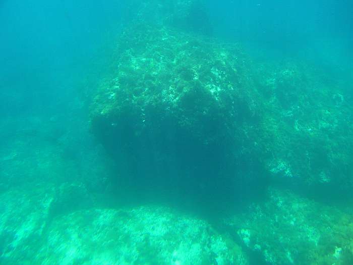 Lokation: Menorca Kategorien: Unterwasser, Datum: 28.06.2004