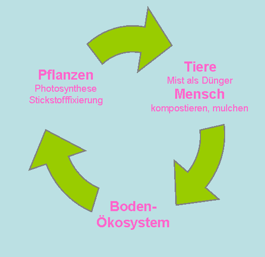Stoffkreislauf Permakultur